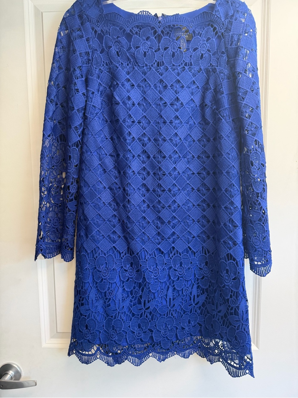Adrianna Papell Royal Blue Long Sleeve Lace Dress